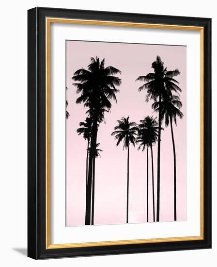 Tall Palms Black on Pink II-Mia Jensen-Framed Art Print