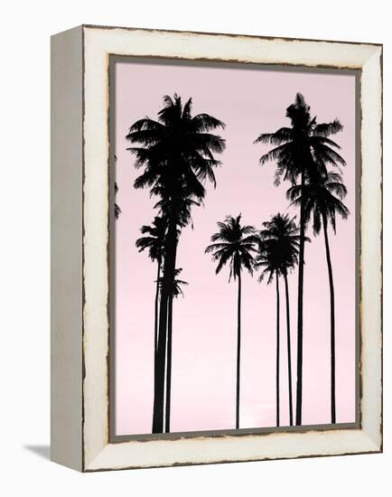 Tall Palms Black on Pink II-Mia Jensen-Framed Stretched Canvas