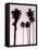 Tall Palms Black on Pink II-Mia Jensen-Framed Stretched Canvas