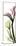 Tall Pink Calla Lily-Albert Koetsier-Mounted Premium Giclee Print