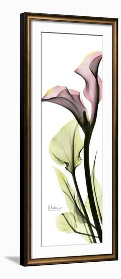 Tall Pink Calla Lily-Albert Koetsier-Framed Art Print