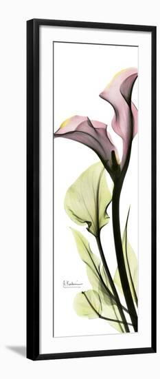 Tall Pink Calla Lily-Albert Koetsier-Framed Art Print