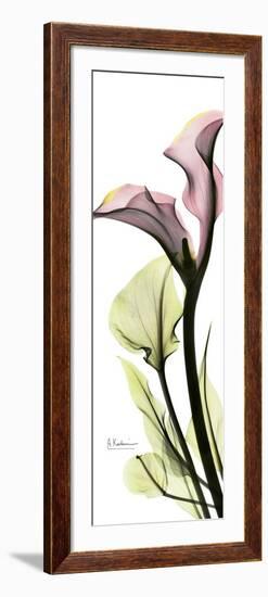 Tall Pink Calla Lily-Albert Koetsier-Framed Art Print