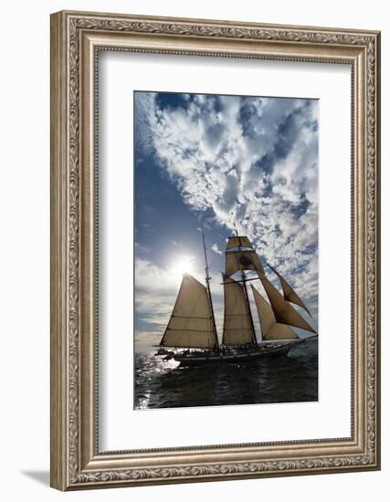 Tall Ship in the Pacific Ocean, Dana Point Harbor, Dana Point, Orange County, California, USA-null-Framed Photographic Print