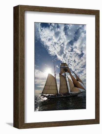 Tall Ship in the Pacific Ocean, Dana Point Harbor, Dana Point, Orange County, California, USA-null-Framed Photographic Print