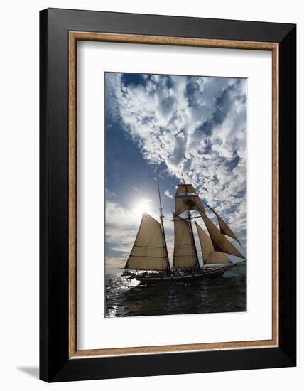 Tall Ship in the Pacific Ocean, Dana Point Harbor, Dana Point, Orange County, California, USA-null-Framed Photographic Print