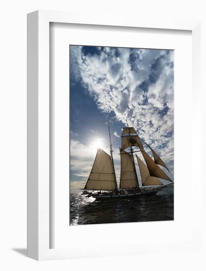 Tall Ship in the Pacific Ocean, Dana Point Harbor, Dana Point, Orange County, California, USA-null-Framed Photographic Print