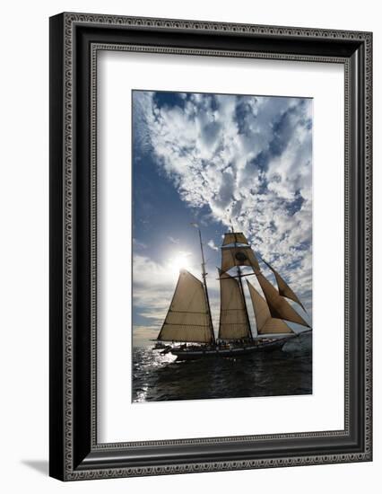 Tall Ship in the Pacific Ocean, Dana Point Harbor, Dana Point, Orange County, California, USA-null-Framed Photographic Print