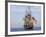 Tall Ship the Kalmar Nyckel, Chesapeake Bay, Maryland, USA-Scott T. Smith-Framed Photographic Print