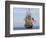 Tall Ship the Kalmar Nyckel, Chesapeake Bay, Maryland, USA-Scott T. Smith-Framed Photographic Print