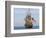 Tall Ship the Kalmar Nyckel, Chesapeake Bay, Maryland, USA-Scott T. Smith-Framed Photographic Print