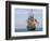 Tall Ship the Kalmar Nyckel, Chesapeake Bay, Maryland, USA-Scott T. Smith-Framed Photographic Print