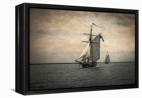 Tall Ships Festival, Digitally Altered-Rona Schwarz-Framed Premier Image Canvas