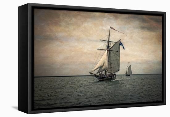 Tall Ships Festival, Digitally Altered-Rona Schwarz-Framed Premier Image Canvas