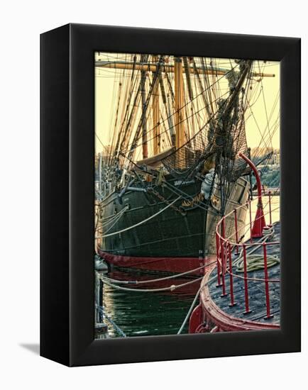 Tall Ships in Darling Harbour-Danny Head-Framed Stretched Canvas