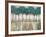 Tall Tree Horizon-James Zheng-Framed Art Print