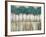 Tall Tree Horizon-James Zheng-Framed Premium Giclee Print