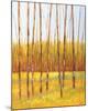 Tall Trees I (left)-Libby Smart-Mounted Giclee Print