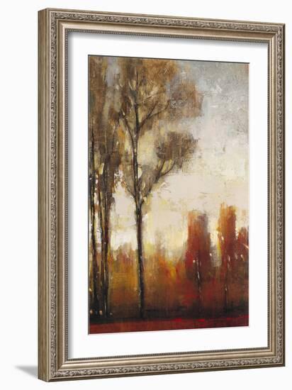 Tall Trees II-Tim O'toole-Framed Art Print