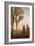 Tall Trees II-Tim O'toole-Framed Art Print