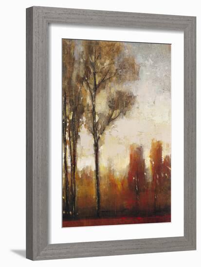 Tall Trees II-Tim O'toole-Framed Art Print