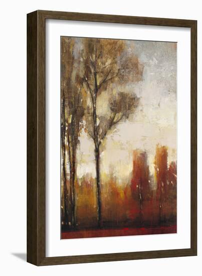 Tall Trees II-Tim O'toole-Framed Art Print