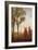 Tall Trees II-Tim O'toole-Framed Art Print