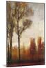 Tall Trees II-Tim O'toole-Mounted Art Print