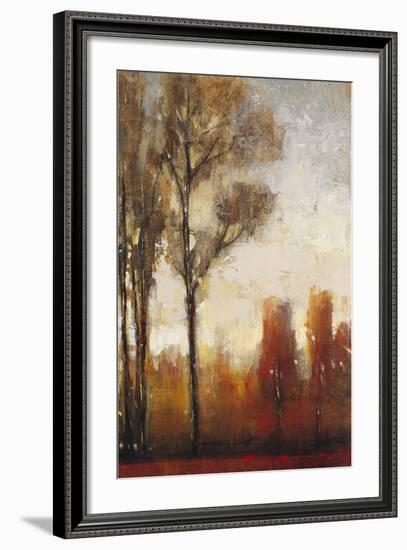 Tall Trees II-Tim O'toole-Framed Art Print