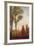 Tall Trees II-Tim O'toole-Framed Art Print