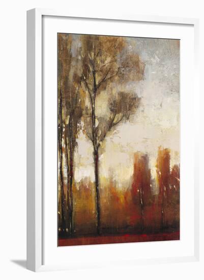 Tall Trees II-Tim O'toole-Framed Art Print