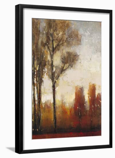 Tall Trees II-Tim O'toole-Framed Art Print