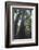 Tall Trees-DLILLC-Framed Photographic Print