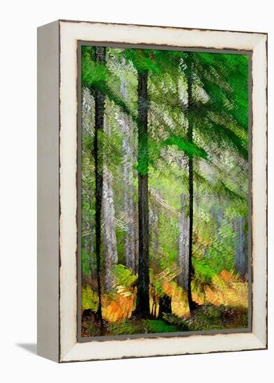 Tall Trees-Ursula Abresch-Framed Premier Image Canvas