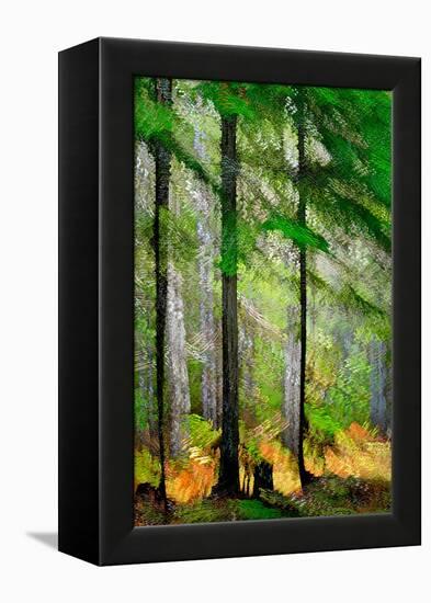 Tall Trees-Ursula Abresch-Framed Premier Image Canvas