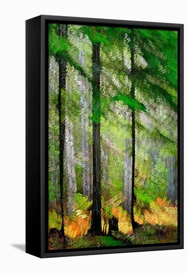 Tall Trees-Ursula Abresch-Framed Premier Image Canvas