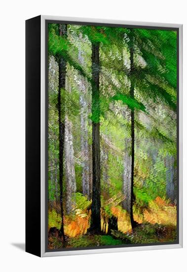 Tall Trees-Ursula Abresch-Framed Premier Image Canvas