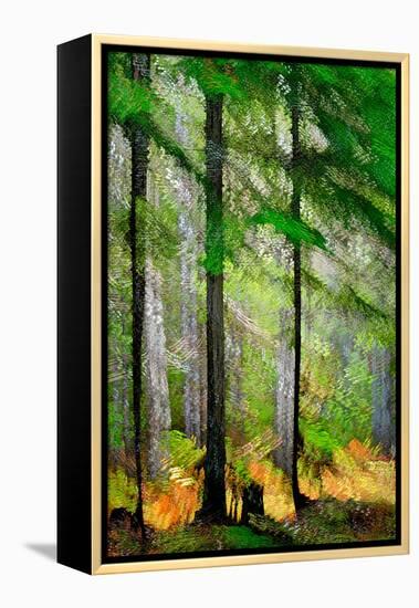 Tall Trees-Ursula Abresch-Framed Premier Image Canvas