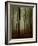 Tall Woods-David Baker-Framed Photographic Print