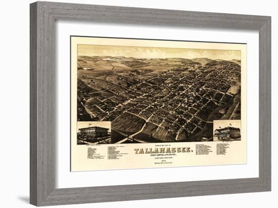 Tallahassee, Florida - Panoramic Map-Lantern Press-Framed Art Print