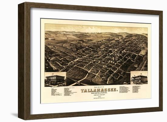 Tallahassee, Florida - Panoramic Map-Lantern Press-Framed Art Print