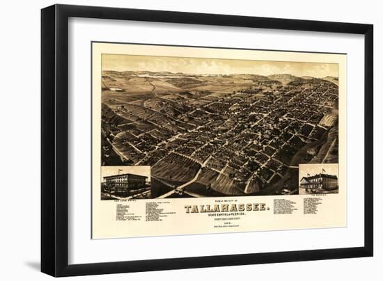 Tallahassee, Florida - Panoramic Map-Lantern Press-Framed Art Print