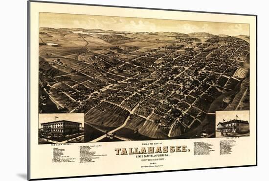Tallahassee, Florida - Panoramic Map-Lantern Press-Mounted Art Print