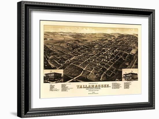 Tallahassee, Florida - Panoramic Map-Lantern Press-Framed Art Print