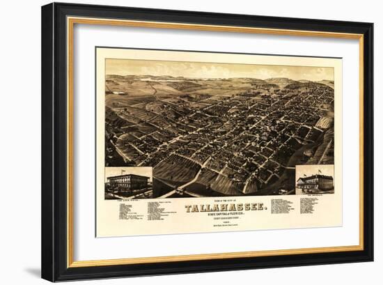 Tallahassee, Florida - Panoramic Map-Lantern Press-Framed Art Print