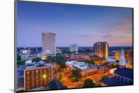 Tallahassee, Florida, USA Downtown Skyline.-SeanPavonePhoto-Mounted Photographic Print