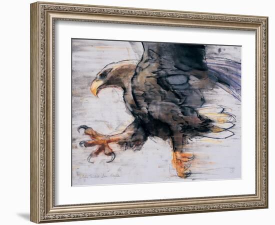 Talons - White Tailed Sea Eagle, 2001-Mark Adlington-Framed Giclee Print