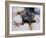 Talons - White Tailed Sea Eagle, 2001-Mark Adlington-Framed Giclee Print