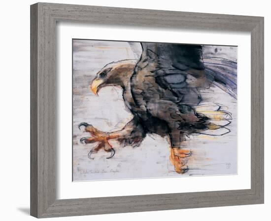 Talons - White Tailed Sea Eagle, 2001-Mark Adlington-Framed Giclee Print