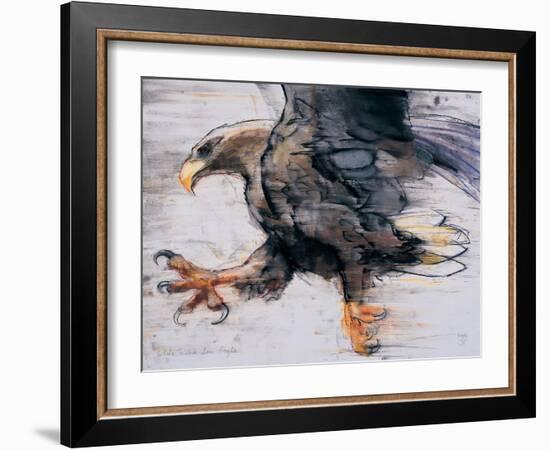 Talons - White Tailed Sea Eagle, 2001-Mark Adlington-Framed Giclee Print